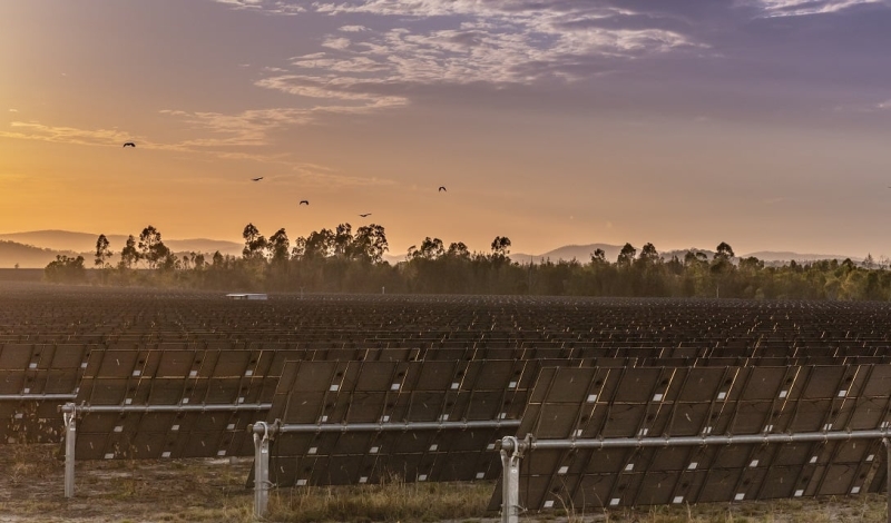 Savezna vlada Queenslanda, Australija, za analizu pripremne strukture za solarne PV i baterije