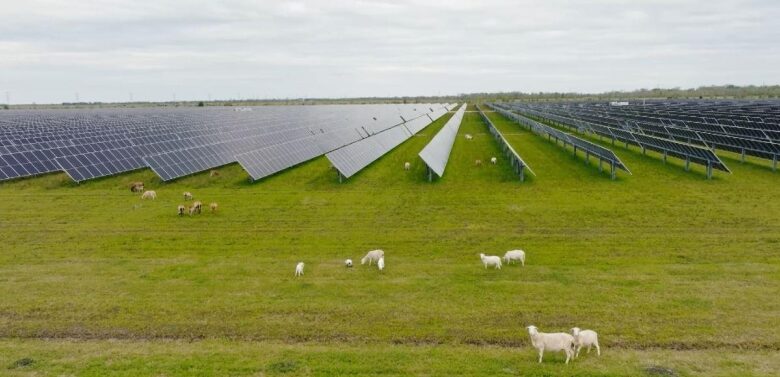 TotalEnergies kupuje njemačkog dizajnera obnovljivih izvora energije, nudi američki solarni portfelj